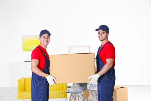 Packing checklist and household items ready for moving day